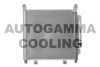 AUTOGAMMA 103146 Condenser, air conditioning